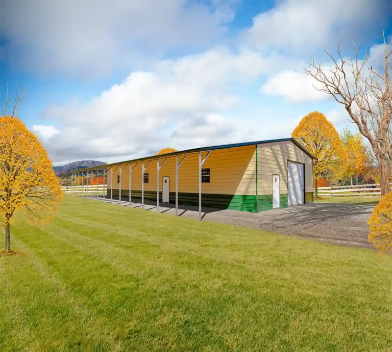 42x70x12/9 Metal Garage