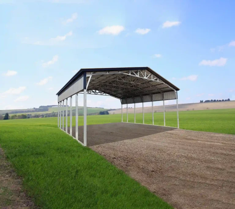 Commercial Grade Carport Building 266